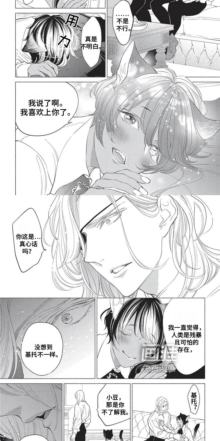 猫猫小白 第22话 第2页