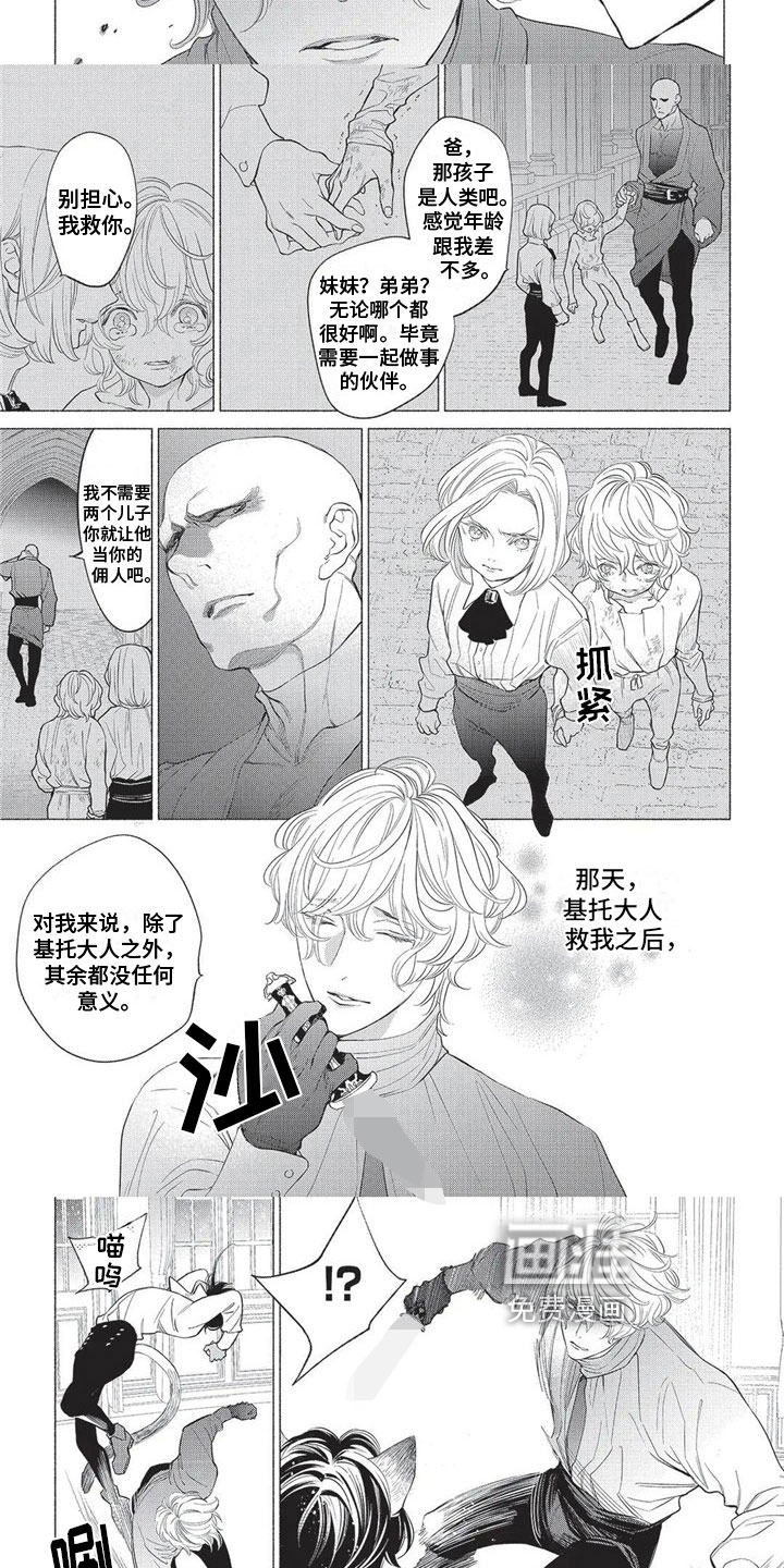 猫猫小白 第23话 第5页