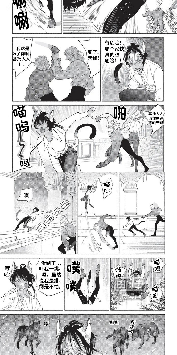 猫猫小白 第23话 第6页