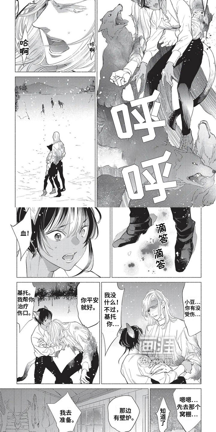 猫猫小白 第24话 第1页