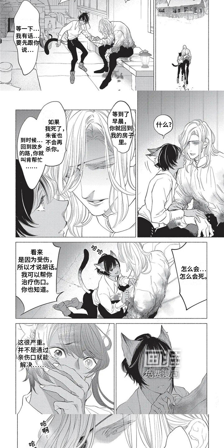 猫猫小白 第24话 第2页