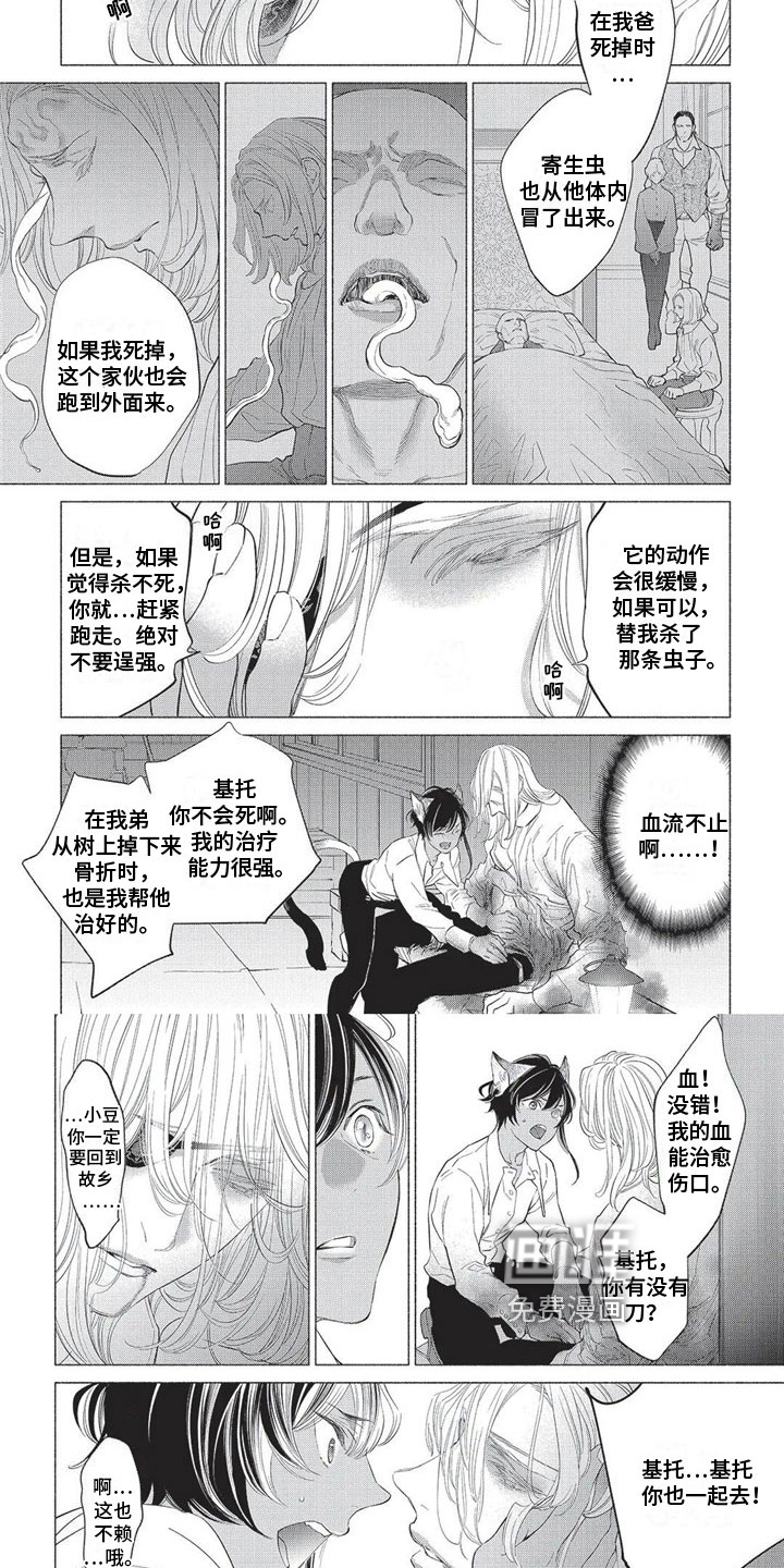 猫猫小白 第24话 第3页