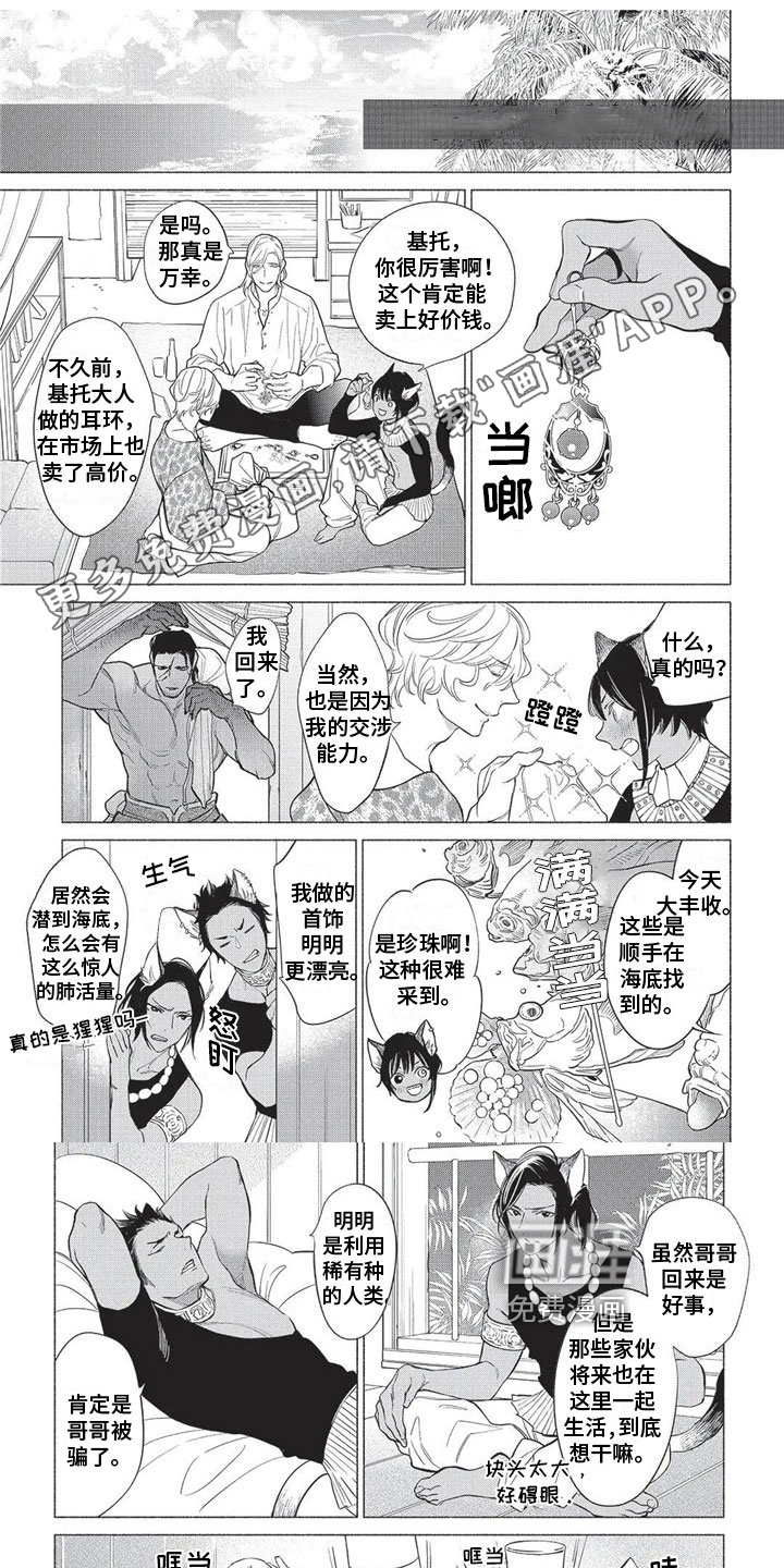 猫猫小白 第28话 第0页