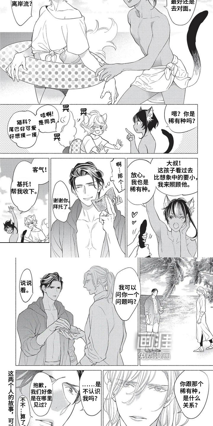 猫猫小白 第28话 第2页