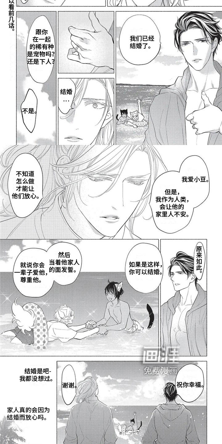 猫猫小白 第28话 第3页