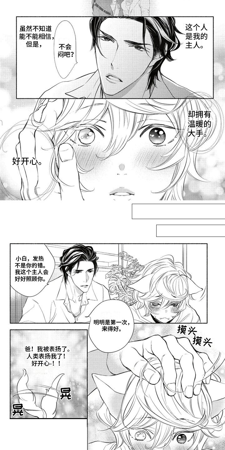 猫猫小白 第3话 第1页