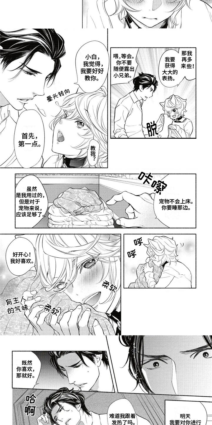 猫猫小白 第3话 第2页