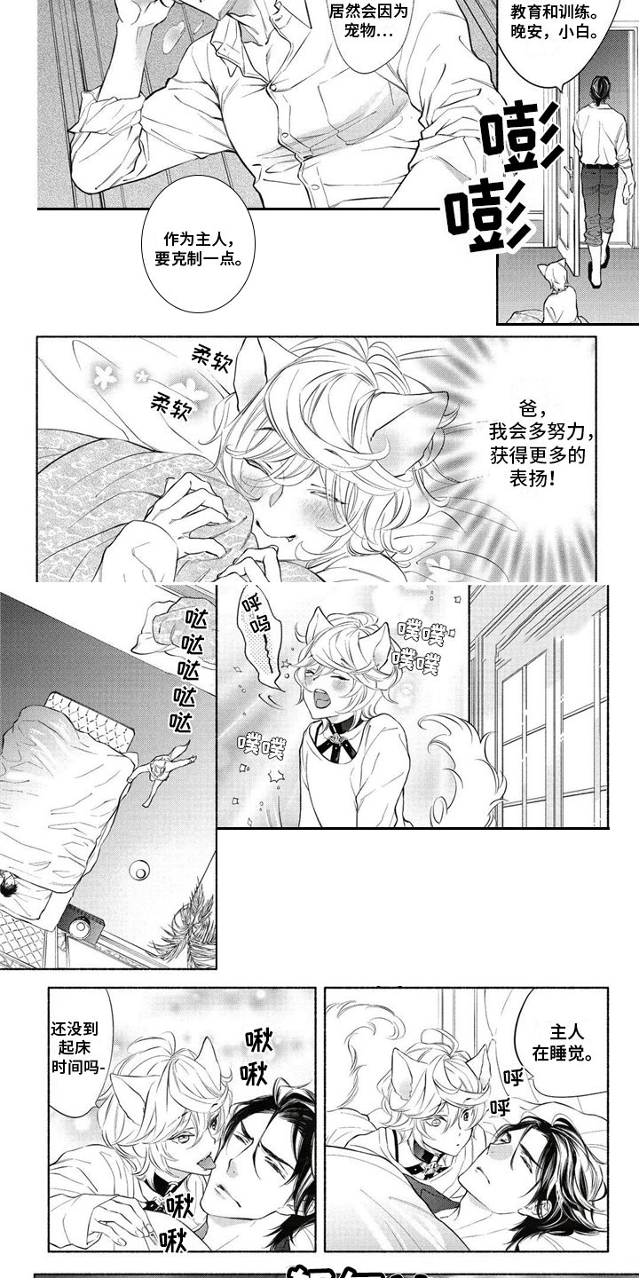 猫猫小白 第3话 第3页