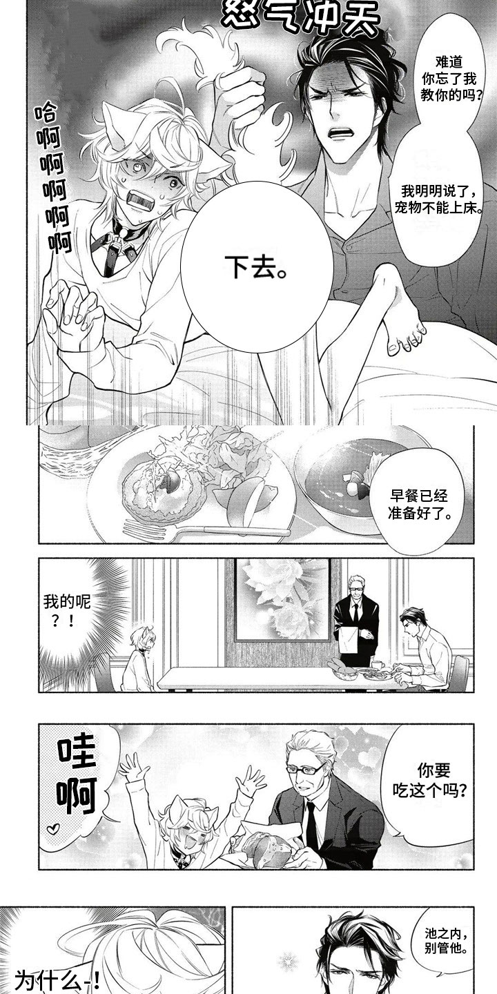 猫猫小白 第3话 第4页