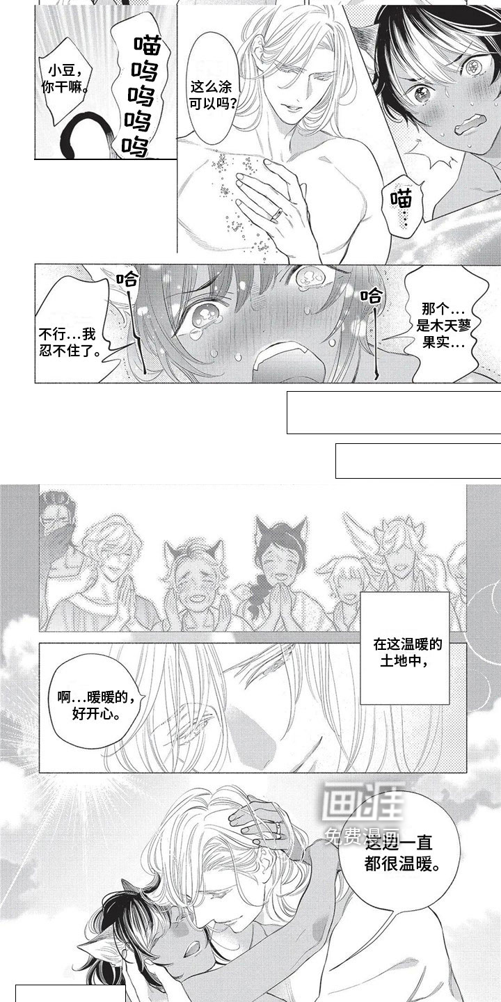 猫猫小白 第30话 第2页