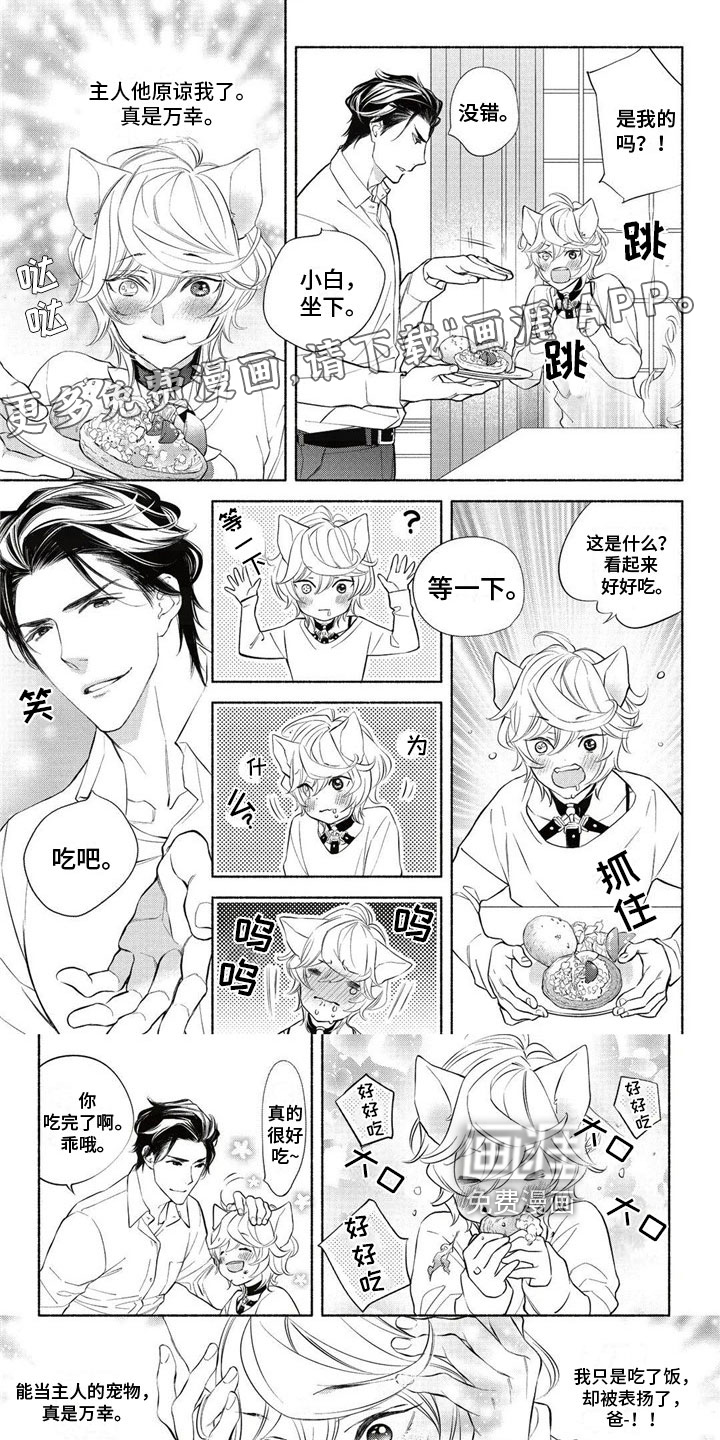 猫猫小白 第4话 第0页