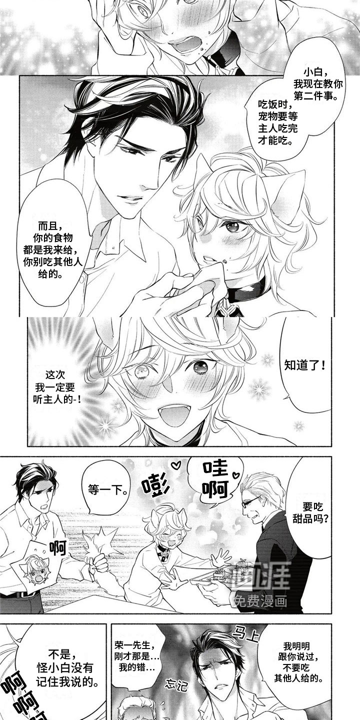 猫猫小白 第4话 第1页