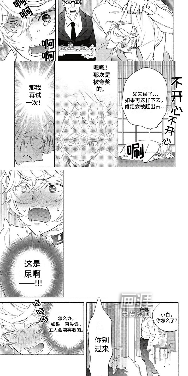 猫猫小白 第4话 第2页