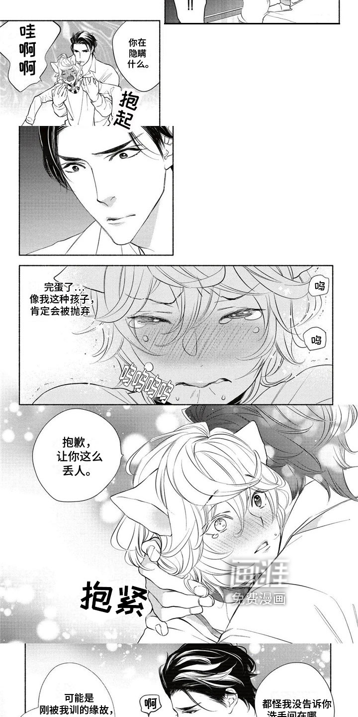 猫猫小白 第4话 第3页