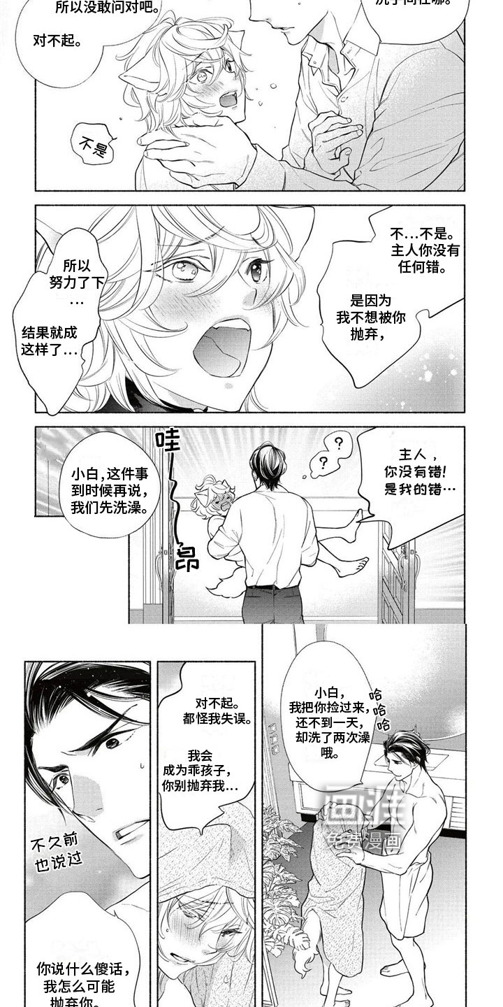 猫猫小白 第4话 第4页