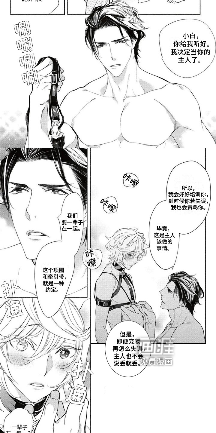 猫猫小白 第4话 第5页