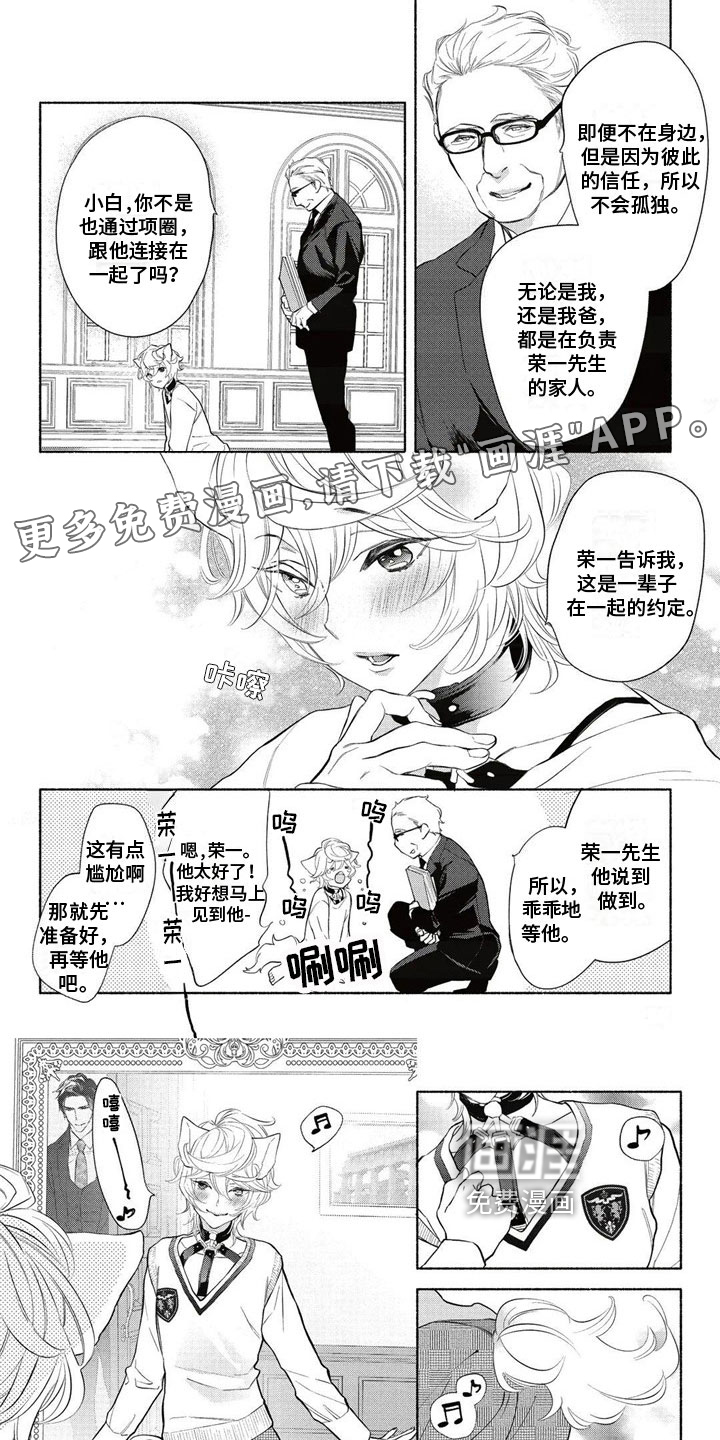 猫猫小白 第6话 第0页