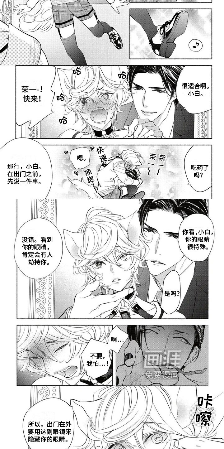 猫猫小白 第6话 第1页