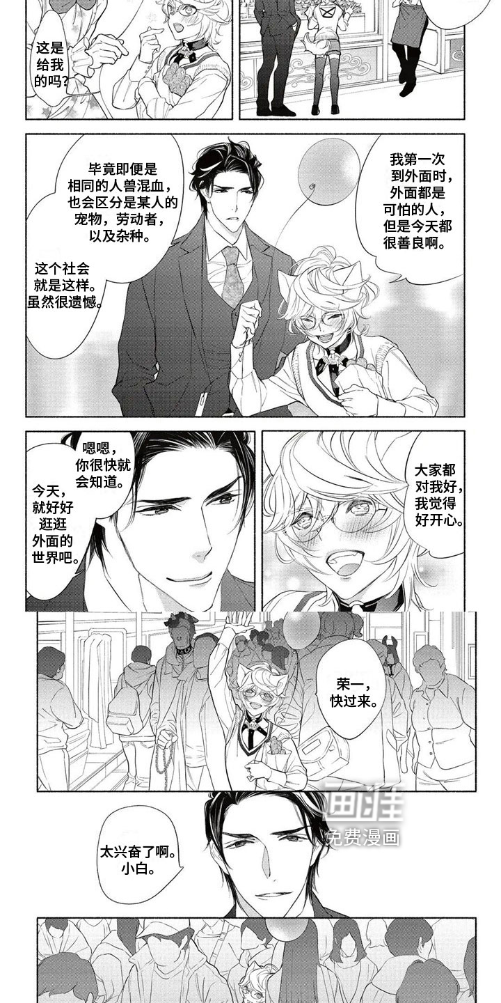 猫猫小白 第6话 第3页