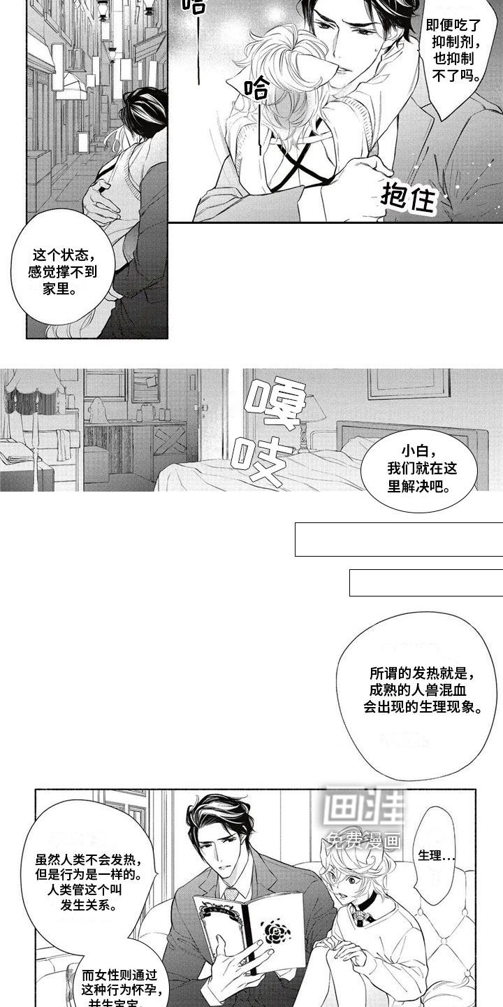 猫猫小白 第7话 第2页