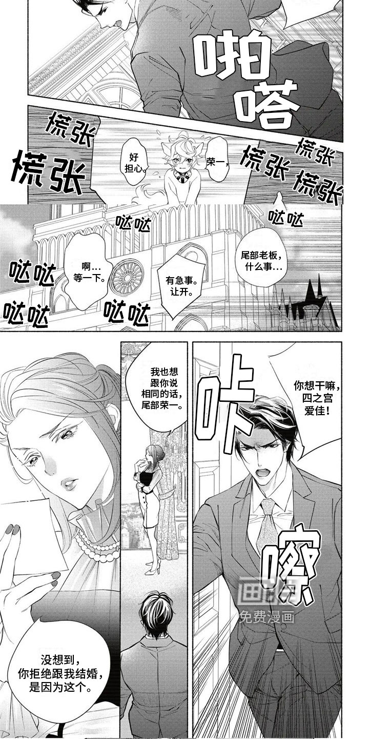 猫猫小白 第7话 第5页