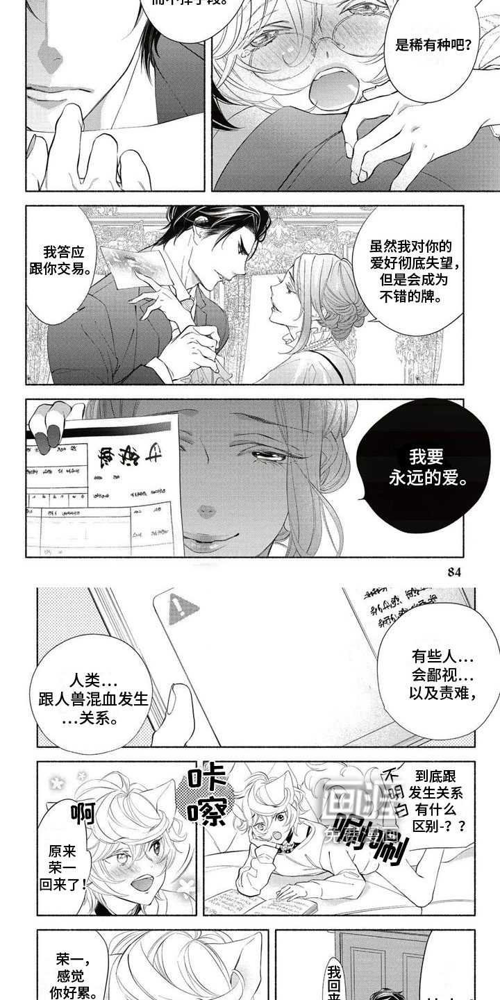 猫猫小白 第8话 第1页