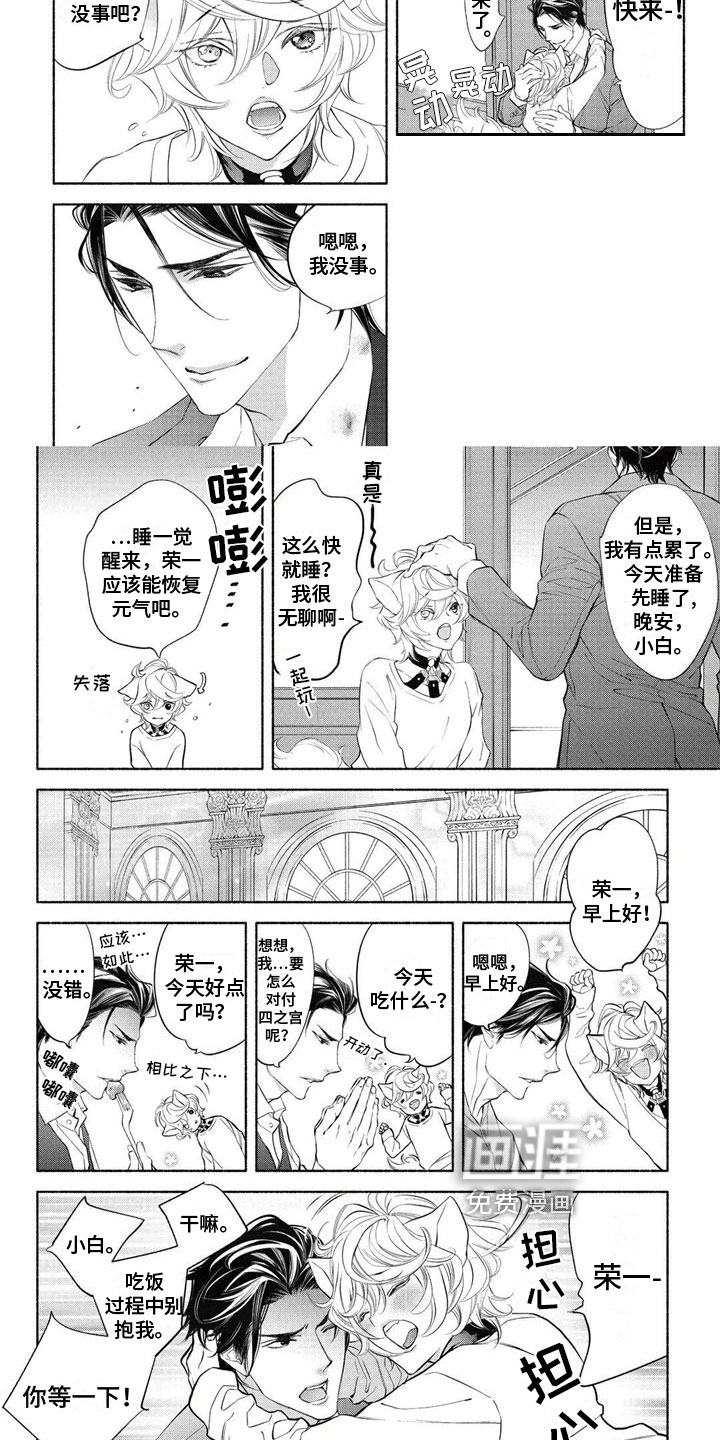 猫猫小白 第8话 第2页