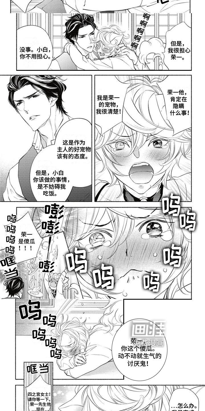 猫猫小白 第8话 第3页