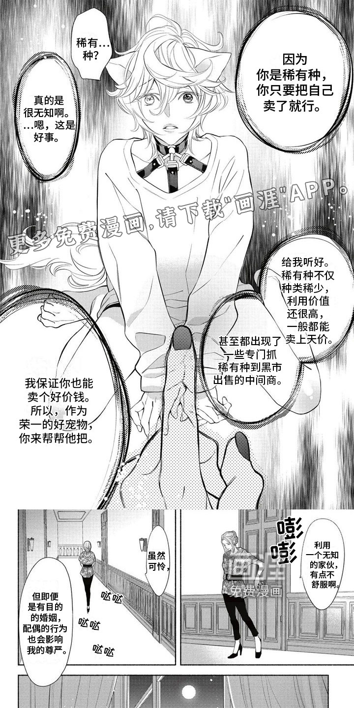 猫猫小白 第9话 第0页