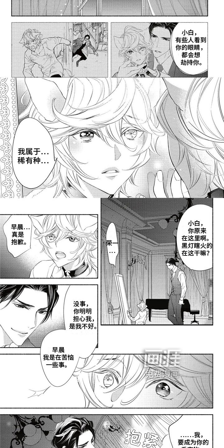 猫猫小白 第9话 第1页