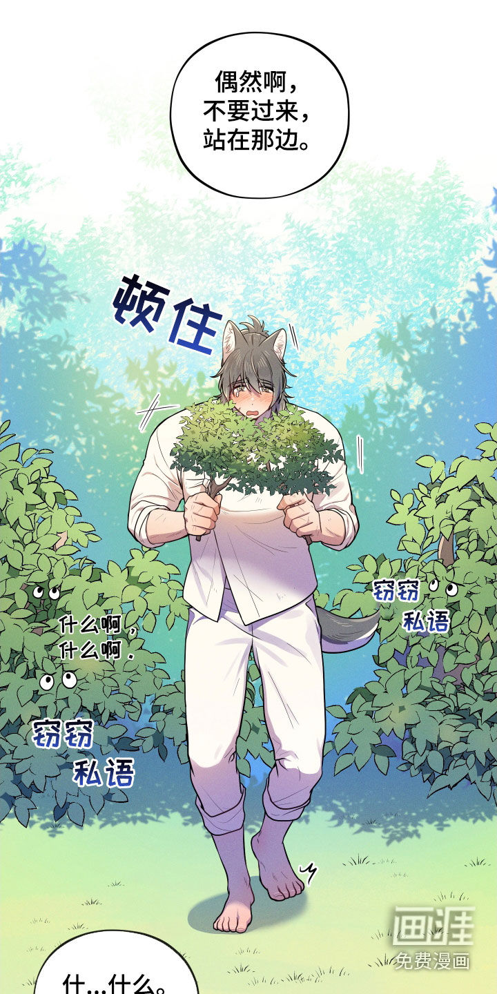 萌兔来袭第11话图