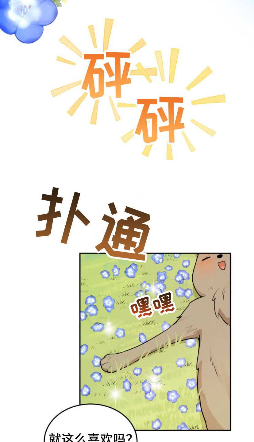 萌兔来袭漫画-图17