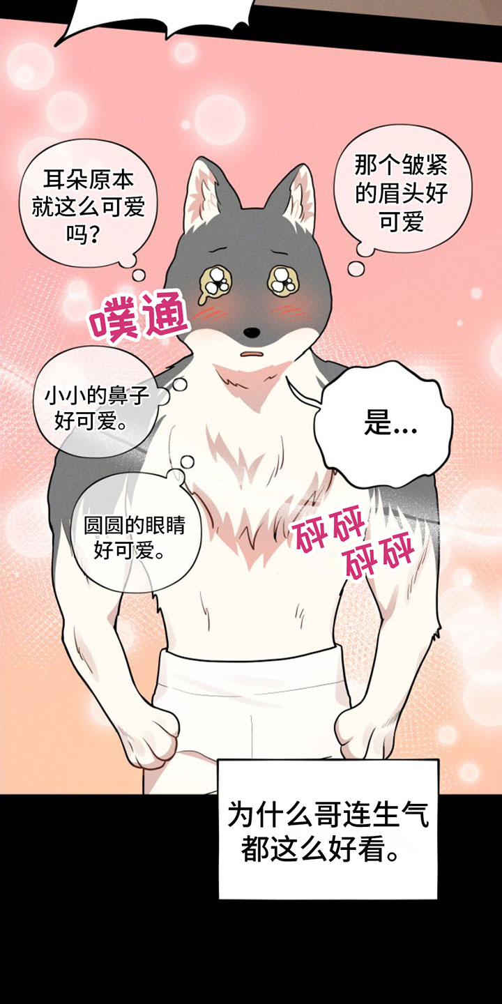 萌兔来袭漫画-图23