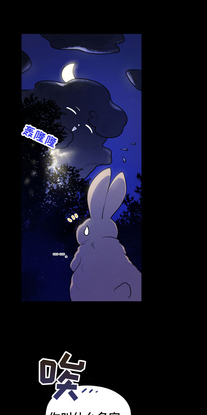 萌兔来袭漫画-图25