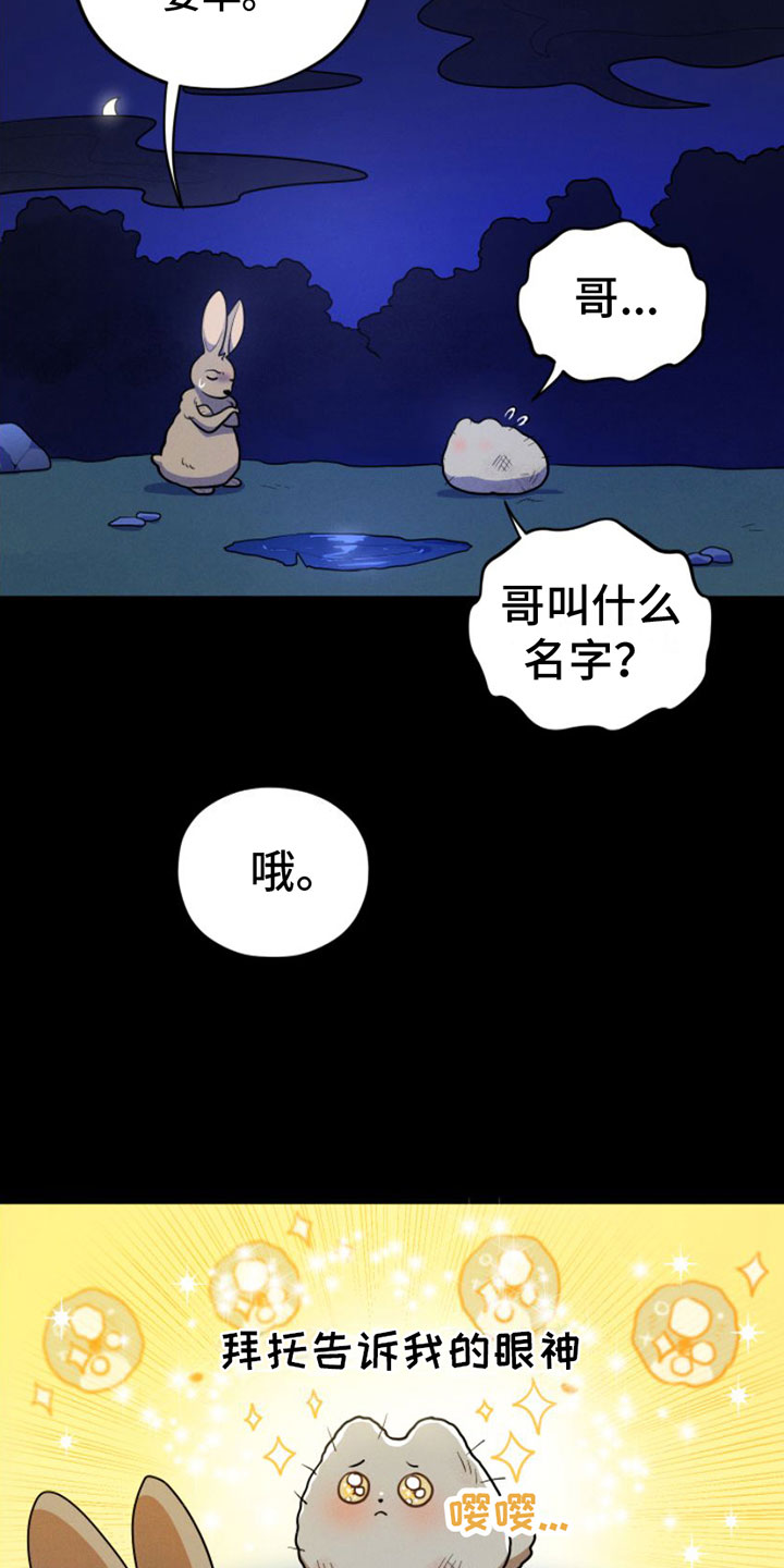 萌兔来袭漫画-图27