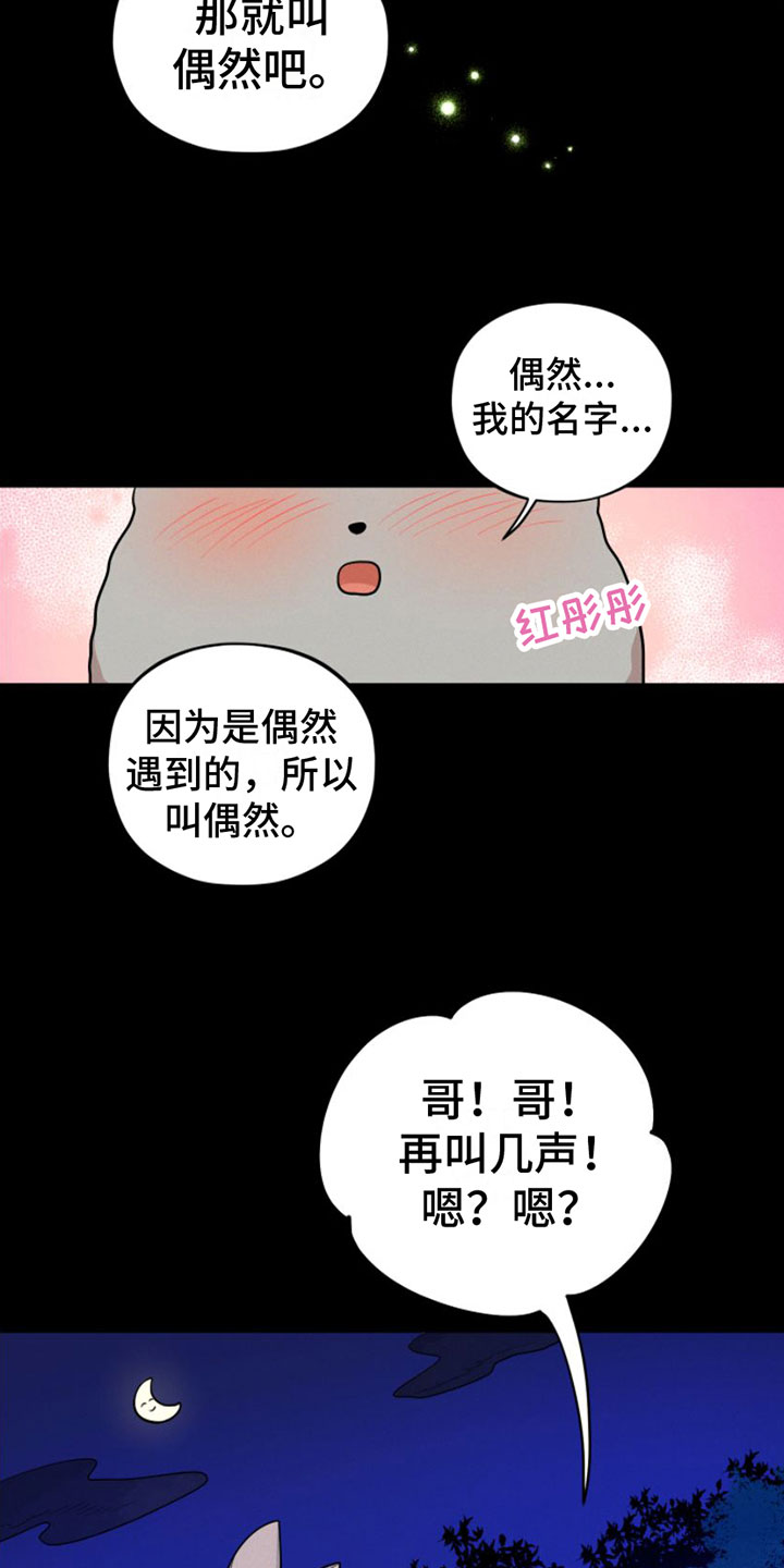 萌兔来袭漫画-图31