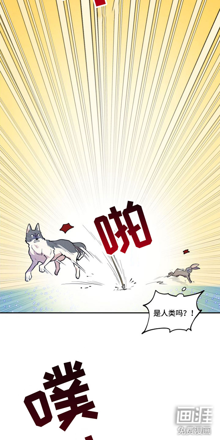 萌兔来袭漫画-图8