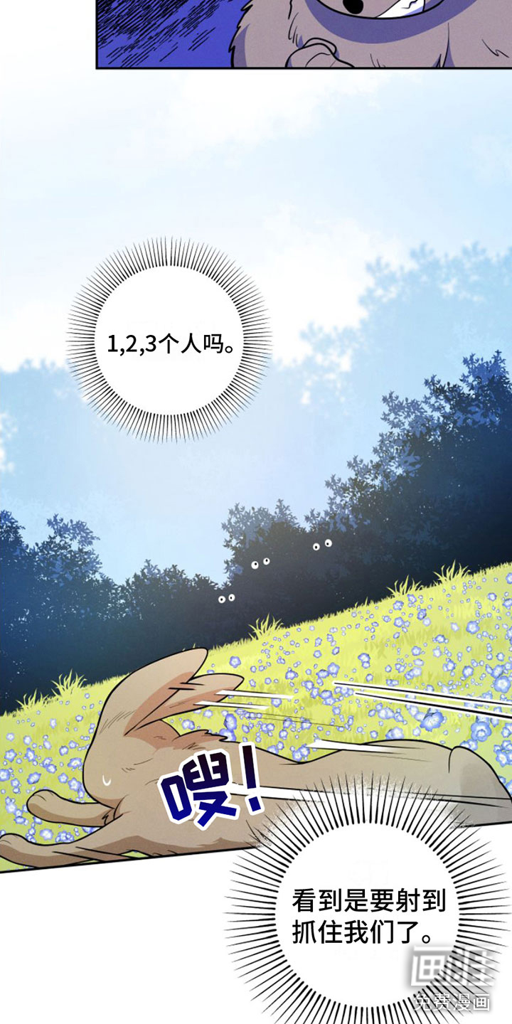 萌兔来袭漫画-图12