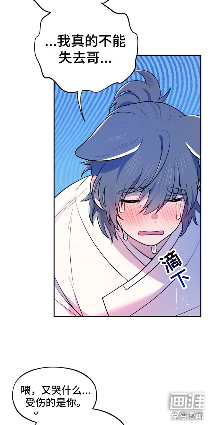 萌兔来袭第5话图