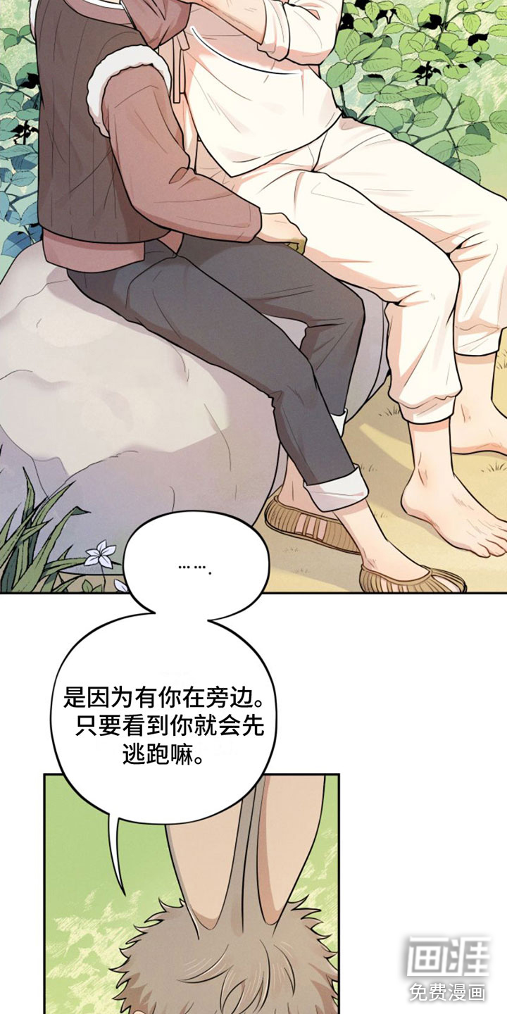 萌兔来袭第5话图