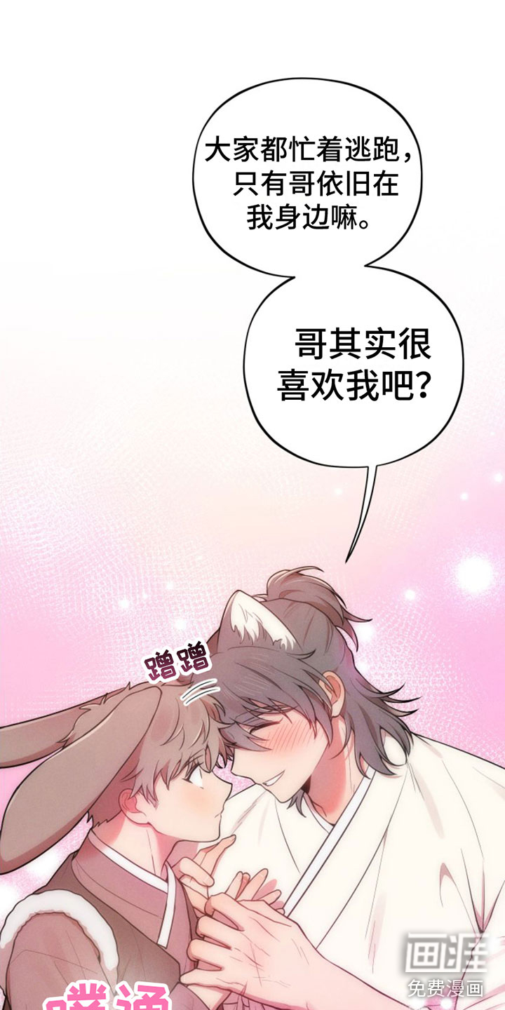 萌兔来袭第5话图