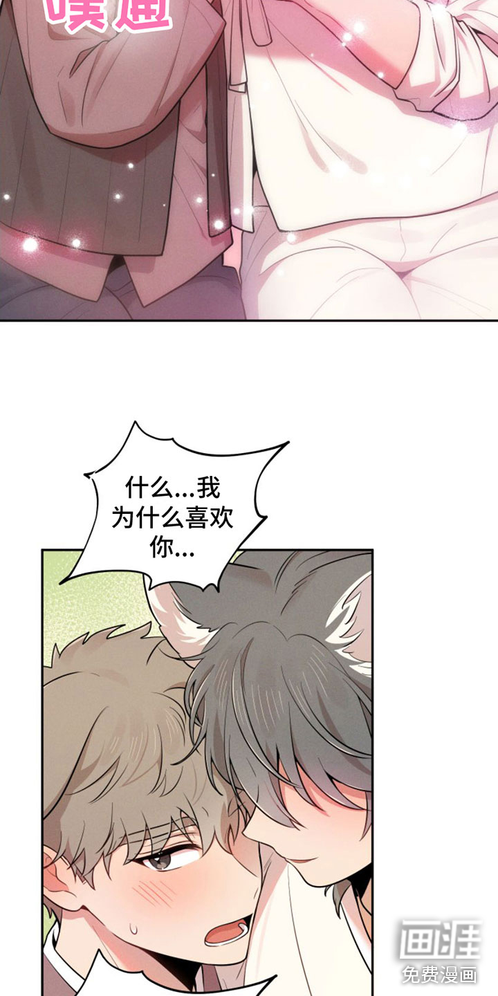 萌兔来袭第5话图