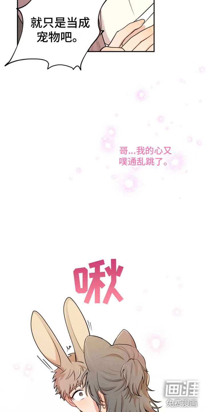 萌兔来袭第5话图