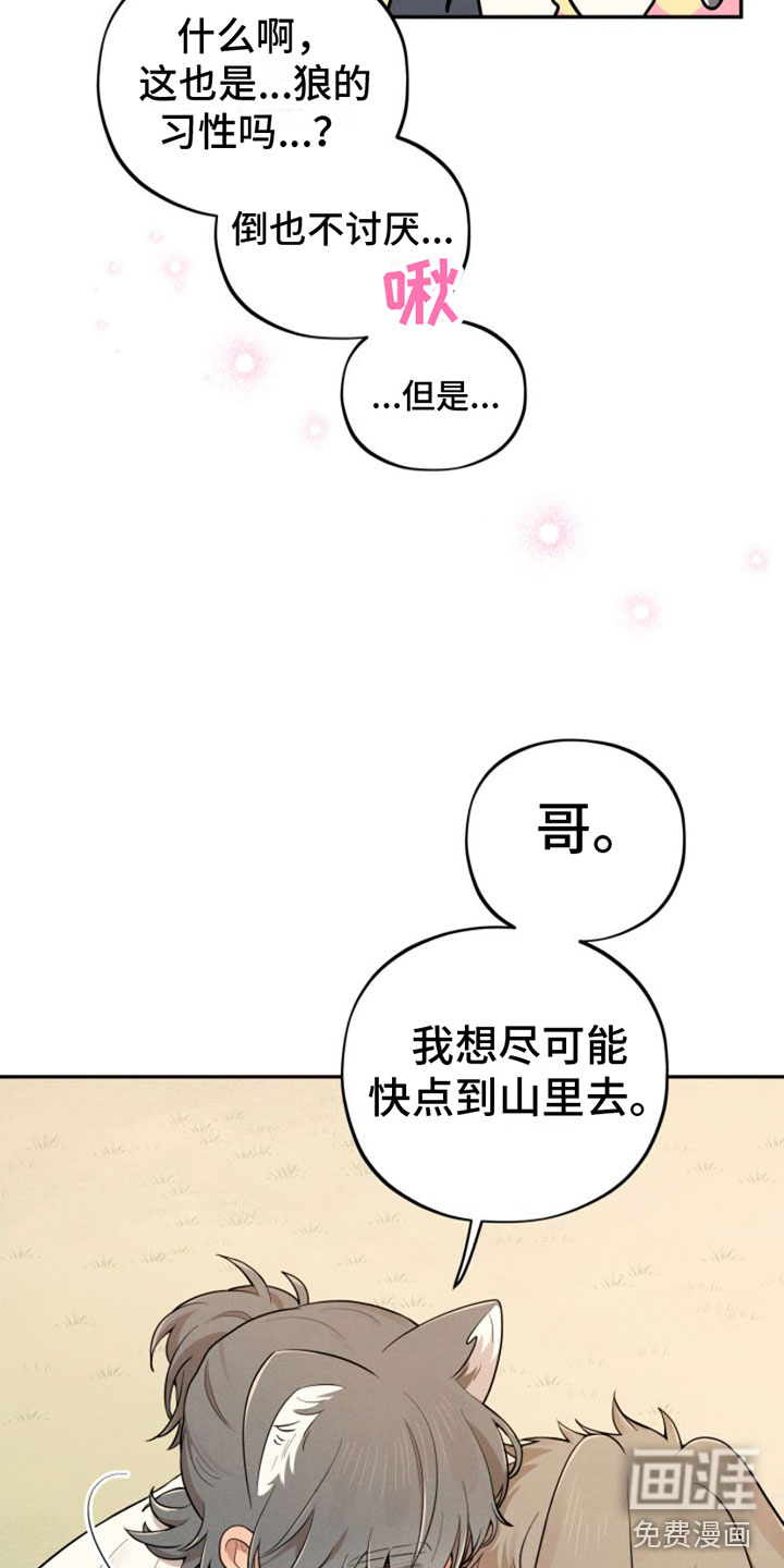 萌兔来袭第5话图