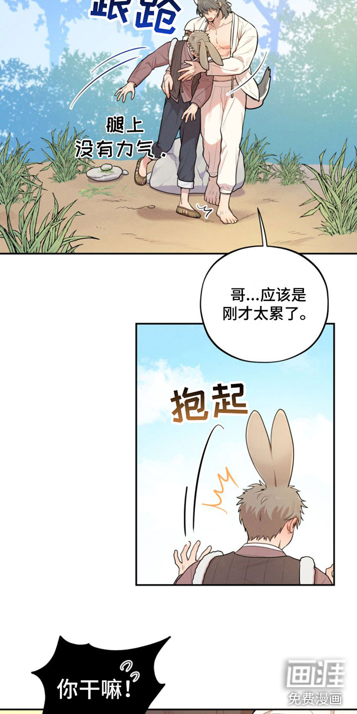 萌兔来袭第5话图