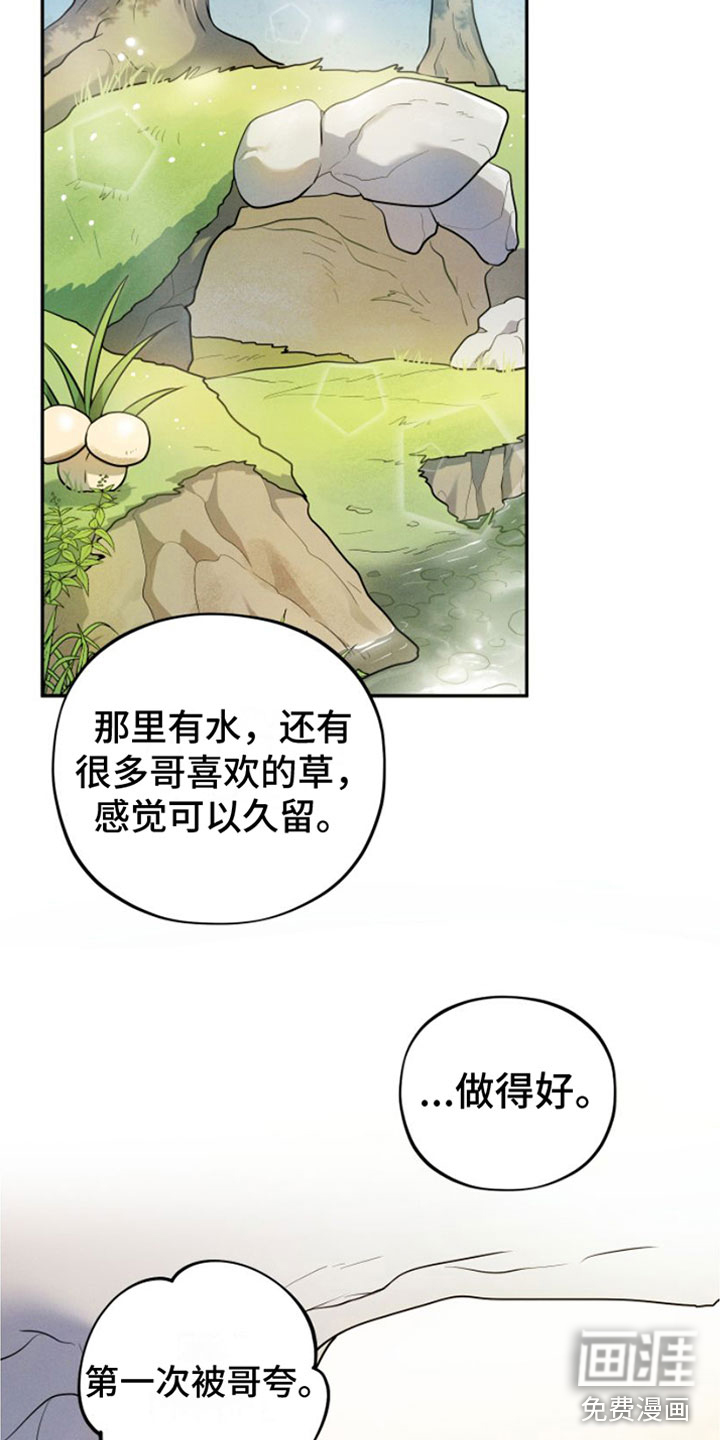 萌兔来袭第9话图