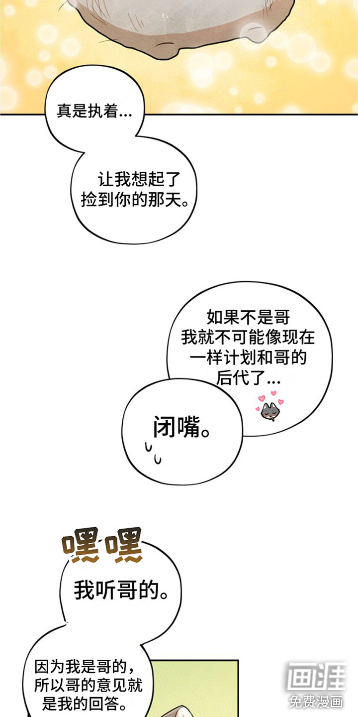 萌兔来袭第9话图