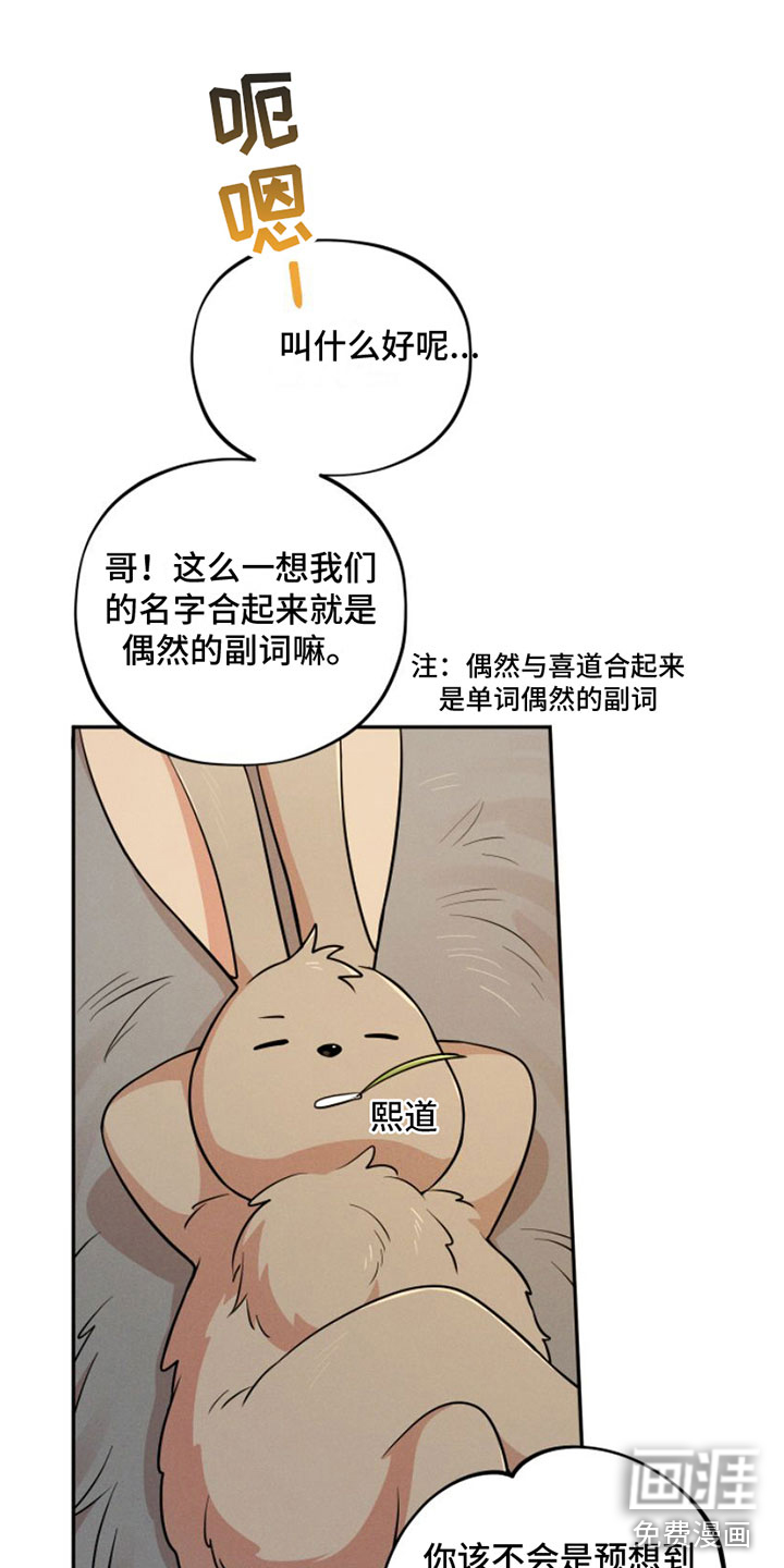 萌兔来袭第9话图