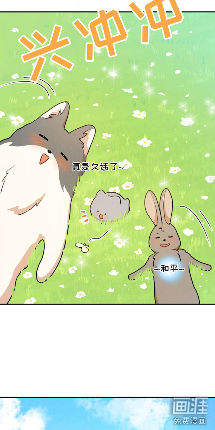 萌兔来袭第9话图