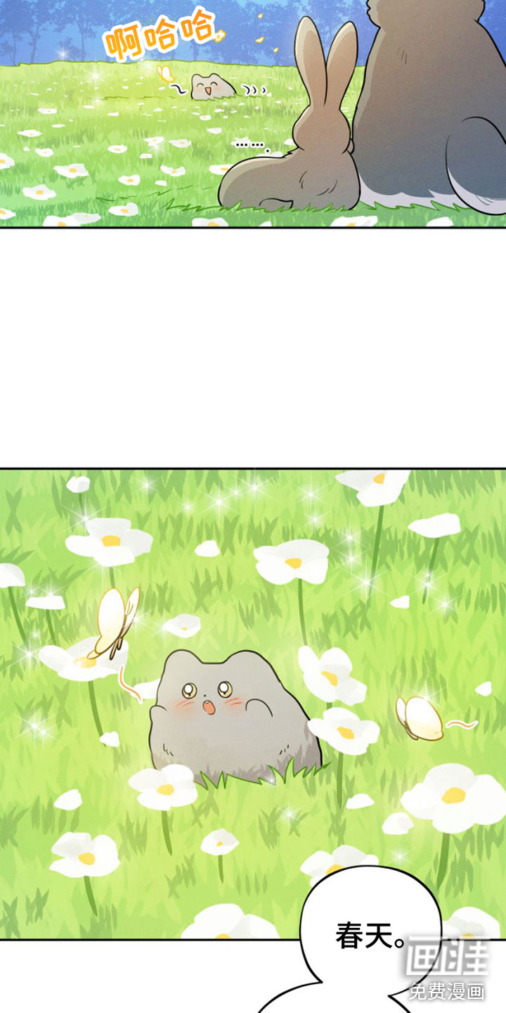 萌兔来袭第9话图